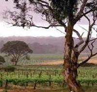 Yangarra Estate Vineyard - Accommodation ACT
