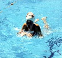 Mount Gambier Aquatic Centre - Accommodation ACT