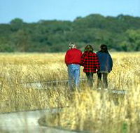 Onkaparinga River Recreation Park - Accommodation ACT