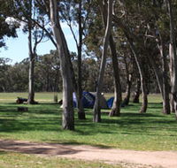 Black Cockatoo Bush Camp - Accommodation ACT