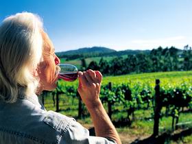 Ashton Hills Vineyard - Accommodation ACT 0