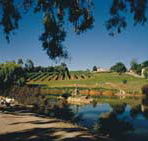 Mount Hurtle Winery home of Geoff Merrill Wines - Accommodation ACT