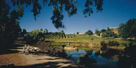 Mount Hurtle Winery Home Of Geoff Merrill Wines - Accommodation ACT 0