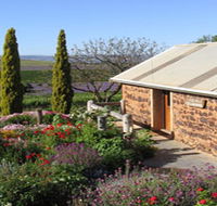 Coriole Vineyards - Accommodation ACT