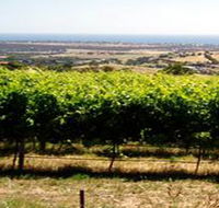 Braydun Hill Vineyard - Accommodation ACT