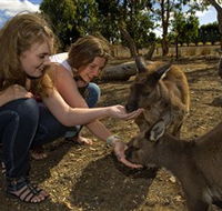 Kangaroo Island Wildlife Park - Accommodation ACT