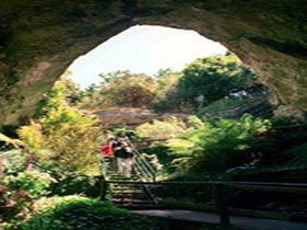 Engelbrecht Cave - Accommodation ACT 0