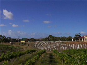 Deep Creek Wines And Alpacas - Accommodation ACT 0