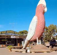 The Big Galah - Accommodation ACT