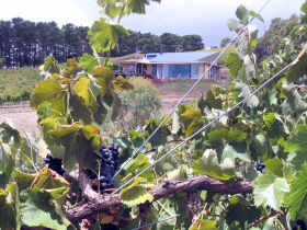 Willunga South SA Accommodation ACT