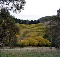 Mt Bera Vineyards - Accommodation ACT
