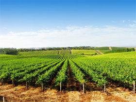 Aldinga SA Accommodation ACT
