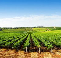 Aldinga Bay Winery - Accommodation ACT
