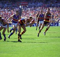 AAMI Stadium Tours - Accommodation ACT