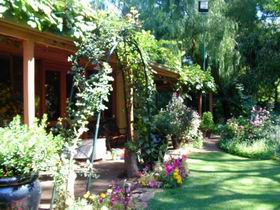 Rainforest Retreat - Accommodation ACT 0