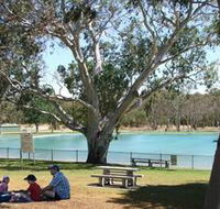 Naracoorte Nature Park and Swimming Lake - Accommodation ACT
