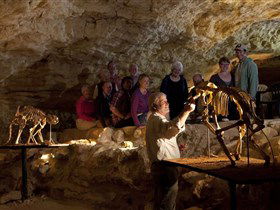 Naracoorte Caves National Park - Accommodation ACT 0