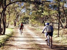 Bike About Mountain Bike Tours And Hire - Accommodation ACT 0