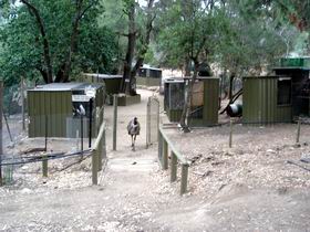 Humbug Scrub Wildlife Sanctuary - Accommodation ACT 0