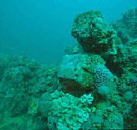Adelaide's Underwater Heritage Trail - Accommodation ACT
