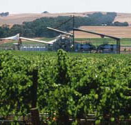 Kirrihill Wines - Accommodation ACT