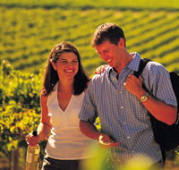 Lady Bay Vineyard - Accommodation ACT
