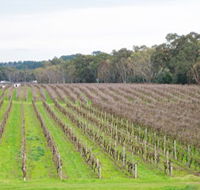 Dennis Wines - Accommodation ACT