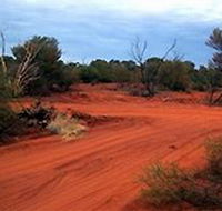 Tallaringa Conservation Park - Accommodation ACT