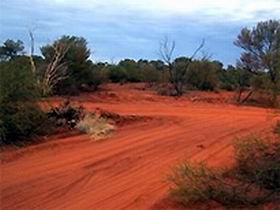 Tallaringa Conservation Park - Accommodation ACT 0