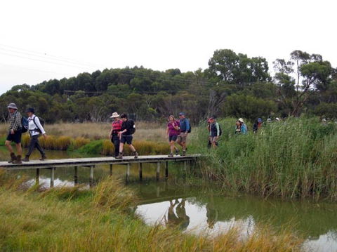 Lavender Federation Trail - Accommodation ACT 1