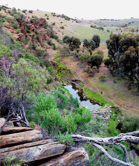 Lavender Federation Trail - Accommodation ACT 3