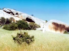 Ucontitchie Hill - Accommodation ACT 0