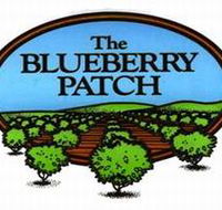 The Blueberry Patch - Accommodation ACT