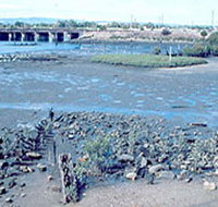 Jervois Basin Ships' Graveyard - Accommodation ACT