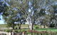 St Hallett Wines - thumb 0