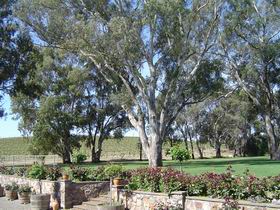 St Hallett Wines - Accommodation ACT 0