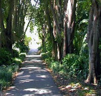 Adelaide Botanic Garden - Accommodation ACT