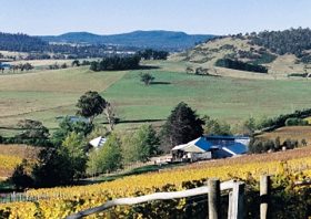Freycinet Vineyards Pty Ltd - Accommodation ACT 0