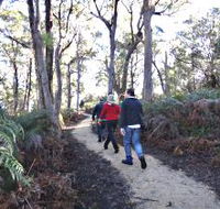 Bridport Walking Track - Accommodation ACT