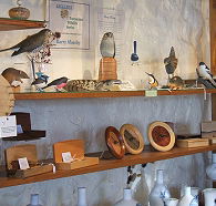 Touchwood Craft Gallery Gifts and Cafe - Accommodation ACT