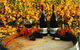 Craigow Vineyard - thumb 0