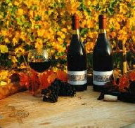 Craigow Vineyard - Accommodation ACT