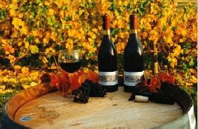 Craigow Vineyard - Accommodation ACT 0