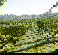 Surveyor's Hill Vineyards - Accommodation ACT