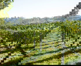 Surveyor's Hill Vineyards - Accommodation ACT 0