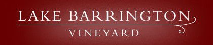 Lake Barrington Estate Vineyard - Accommodation ACT 0