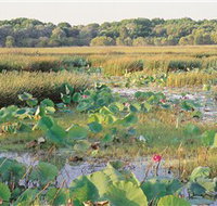 Fogg Dam Conservation Reserve - Accommodation ACT