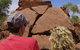 Ewaninga Rock Carvings Conservation Reserve - thumb 0