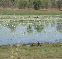 Leaning Tree Lagoon Nature Park - Accommodation ACT