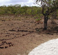Wurrwurrwuy Garanhan Macassan Beach Interpretive Walk - Accommodation ACT
